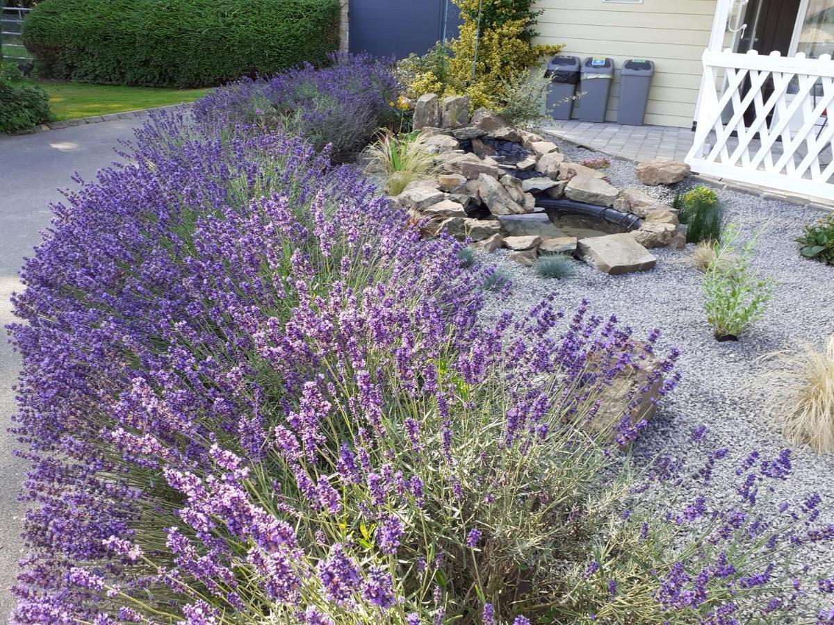 Bed and Breakfast Relais Des Tourterelles La Neuville-aux-Joutes Exterior foto